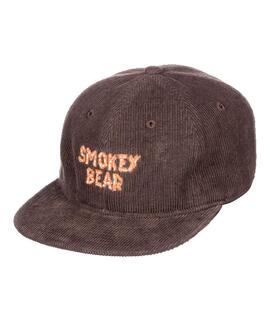 Gorra Element x Smokey Bear Pool